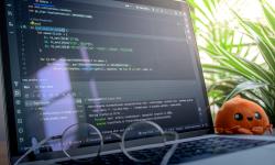 Featured image of post 常用算法